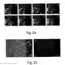 Fig. 13 - Device for tissue engineering