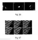 Fig. 14 - Device for tissue engineering