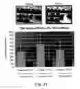 Fig. 17 - Device for tissue engineering