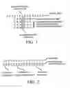 Fig. 02 - Arrays of nucleic acid probes for analyzing biotransformation genes