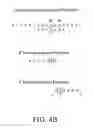 Fig. 06 - Arrays of nucleic acid probes for analyzing biotransformation genes