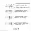 Fig. 10 - Arrays of nucleic acid probes for analyzing biotransformation genes