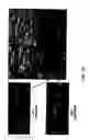Fig. 16 - Arrays of nucleic acid probes for analyzing biotransformation genes