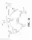 Fig. 20 - Arrays of nucleic acid probes for analyzing biotransformation genes