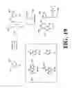 Fig. 21 - Arrays of nucleic acid probes for analyzing biotransformation genes