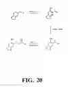 Fig. 22 - Arrays of nucleic acid probes for analyzing biotransformation genes