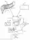 Fig. 01 - Method of digital simulation of image support rendering