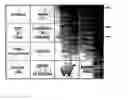 Fig. 01 - Method to generate advertising revenue based on time and location