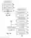 Fig. 04 - Decision support system for litigation evaluation