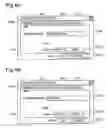 Fig. 05 - Assignment of network service name