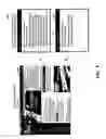 Fig. 06 - Live graphical preview with text summaries