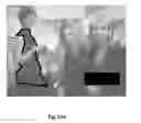 Fig. 22 - Online Shopping and Item Selection System and Method