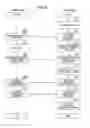 Fig. 04 - Contents sharing apparatus and contents sharing method