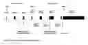Fig. 02 - K203 gene and protein