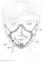 Fig. 01 - See-through mask