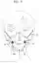 Fig. 07 - See-through mask