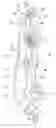 Fig. 01 - Holder device for shower nozzle or the like