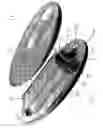 Fig. 02 - Lint roller handle and cover