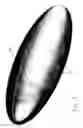 Fig. 04 - Lint roller handle and cover