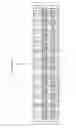 Fig. 04 - Brush assembly