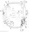Fig. 06 - Dynamic display air inflatable device