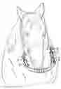 Fig. 01 - Equine amusement, distraction and chew device