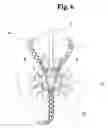 Fig. 07 - Body piercing accessory having bearing