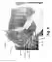 Fig. 09 - APPARATUS AND METHOD FOR ORALLY MEDICATING EQUINES