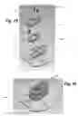Fig. 13 - APPARATUS AND METHOD FOR ORALLY MEDICATING EQUINES