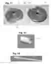 Fig. 14 - APPARATUS AND METHOD FOR ORALLY MEDICATING EQUINES