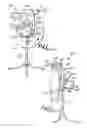 Fig. 02 - Change up pitching machine