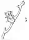 Fig. 10 - Face mask support