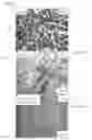 Fig. 07 - Magnetic alloy material and method of making the magnetic alloy material