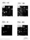 Fig. 05 - R-T-B based rare earth permanent magnet and method for production thereof