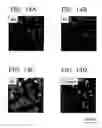 Fig. 15 - R-T-B based rare earth permanent magnet and method for production thereof