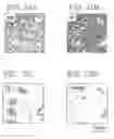 Fig. 16 - R-T-B based rare earth permanent magnet and method for production thereof