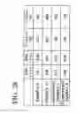 Fig. 29 - R-T-B based rare earth permanent magnet and method for production thereof