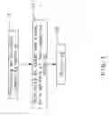 Fig. 02 - Method for mounting mark on a composite material and the product made by the method