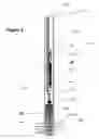 Fig. 05 - Chemical injection well completion apparatus and method