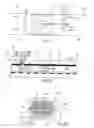 Fig. 02 - Microfluidic method and device for transferring mass between two immiscible phases