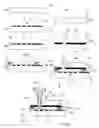 Fig. 04 - Microfluidic method and device for transferring mass between two immiscible phases