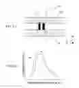 Fig. 09 - Electrophoretic apparatus and electrophoretic method