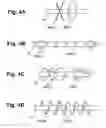 Fig. 05 - Apparatus and method for mixing by agitation in a multichambered mixing apparatus including a pre-agitation mixing chamber