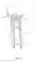 Fig. 07 - Extension and locking assembly for dripless element and container therefore
