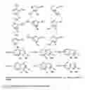 Fig. 04 - Composites and composite membranes