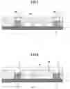 Fig. 07 - Reader/writer and manufacturing method thereof