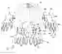 Fig. 01 - Pumpkin support and decorating device