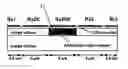 Fig. 01 - CCD device having a sequence of electrodes for charge multiplication