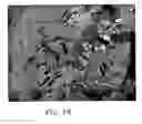Fig. 37 - Crystallographic metrology and process control