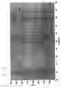 Fig. 07 - Providing information